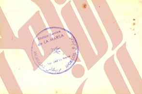 244