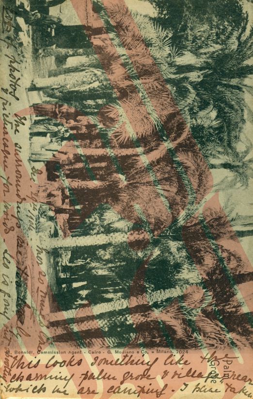 050
