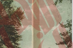 020