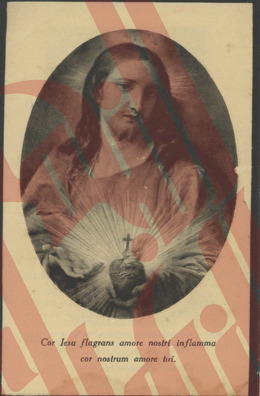 219