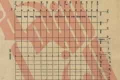 113