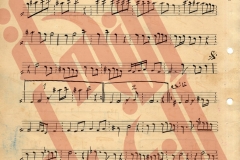 117