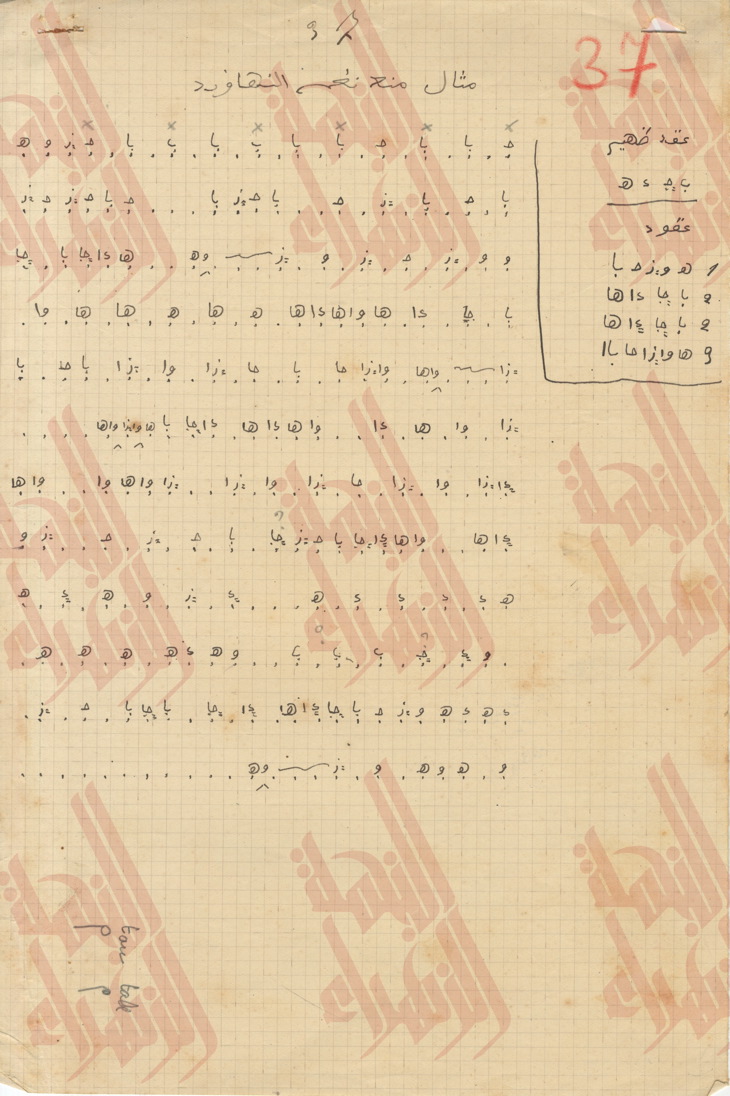 081