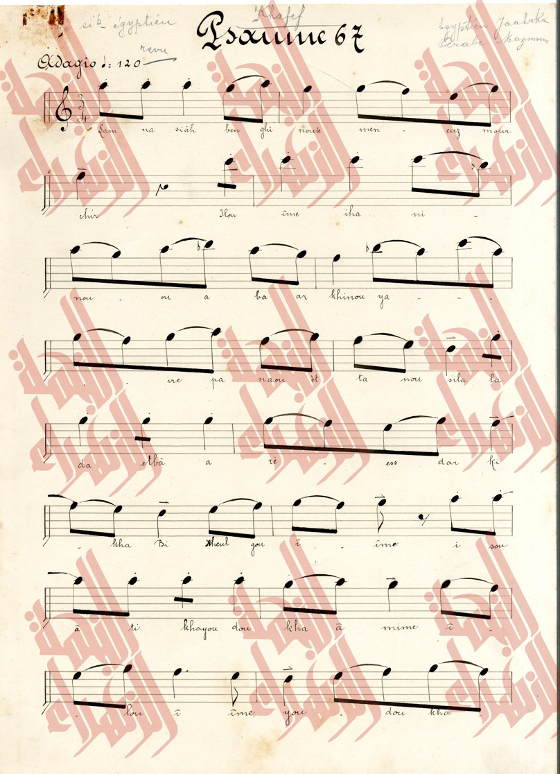 019