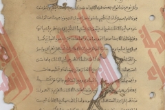 131