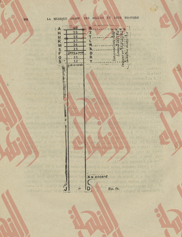 241
