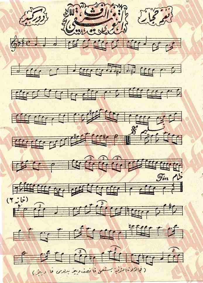 081