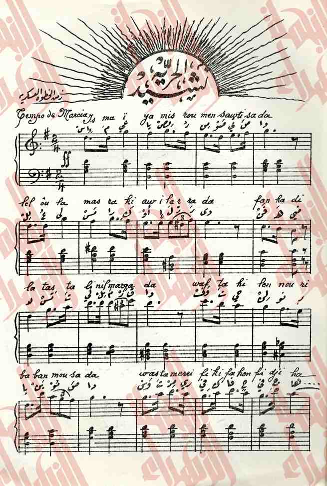231