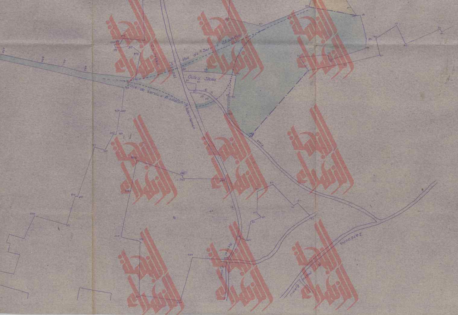 010