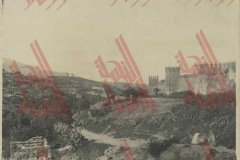 010
