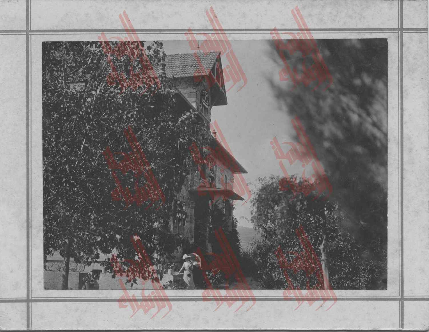 010