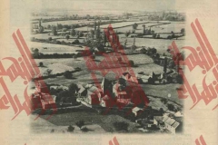 050
